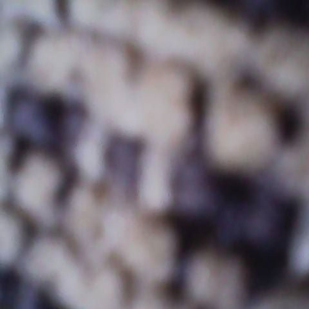 Meet your Posher, Luci